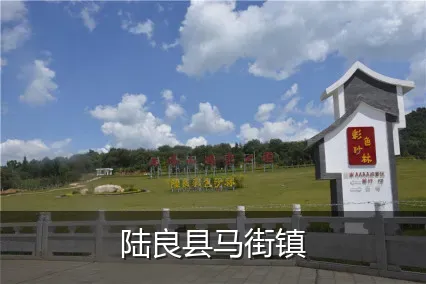 陆良县马街镇