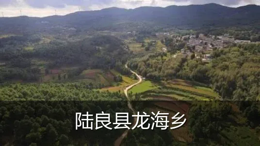 陆良县龙海乡